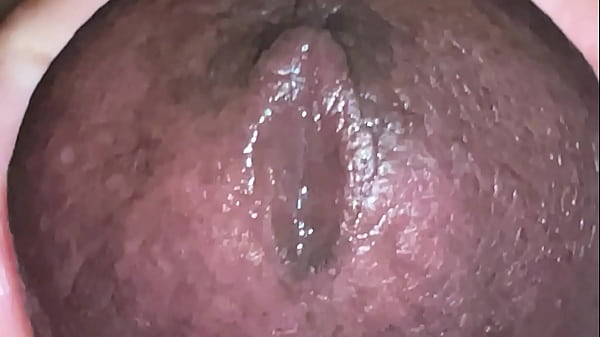 Download Video - Super close cumshot - Ultra close cum shot brown dick hard cock indian guy &num;superclose &num;cumshot &num;semen &num;sperm
