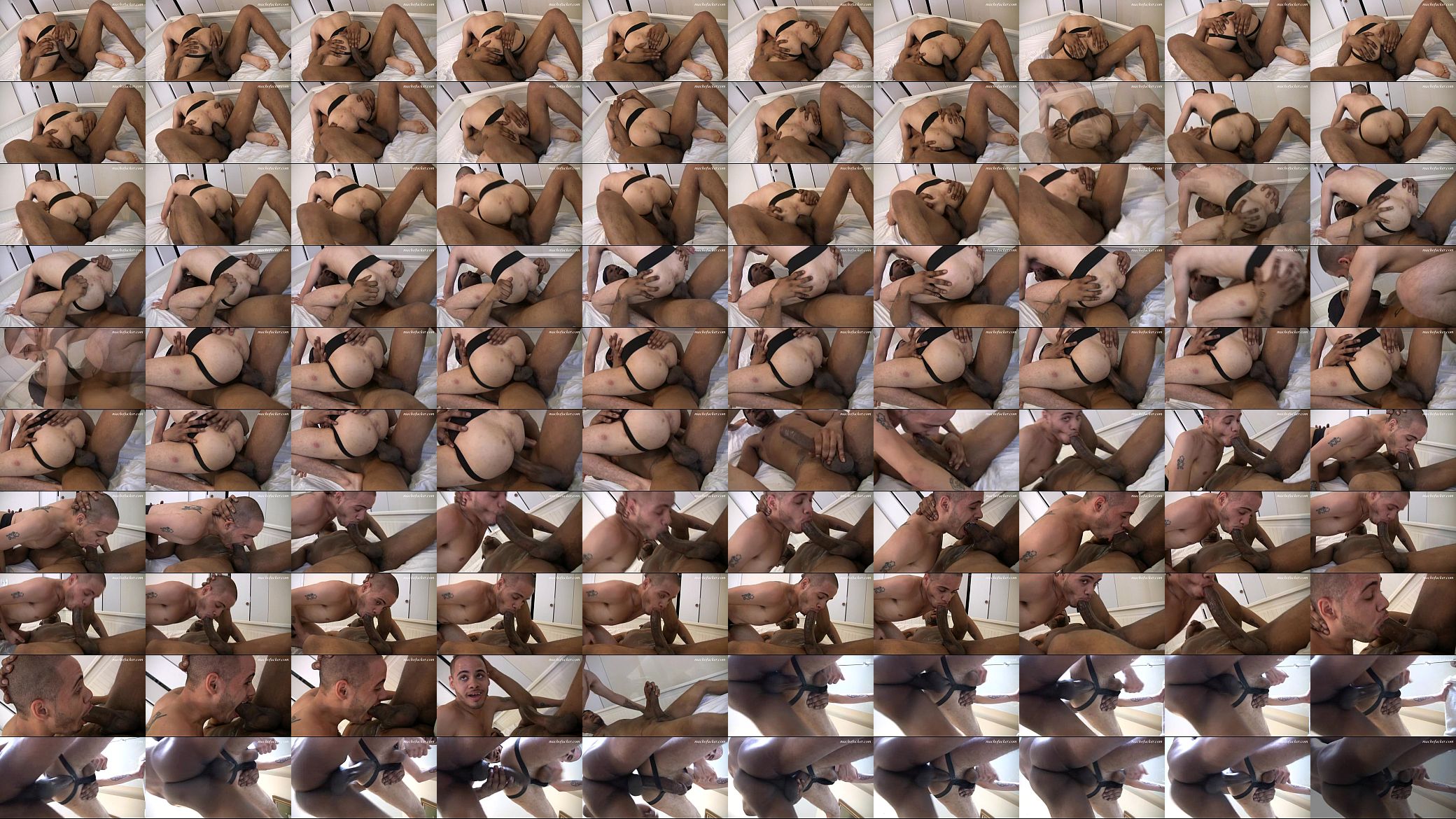 fuckedbeyondstupidxvideos 预览图