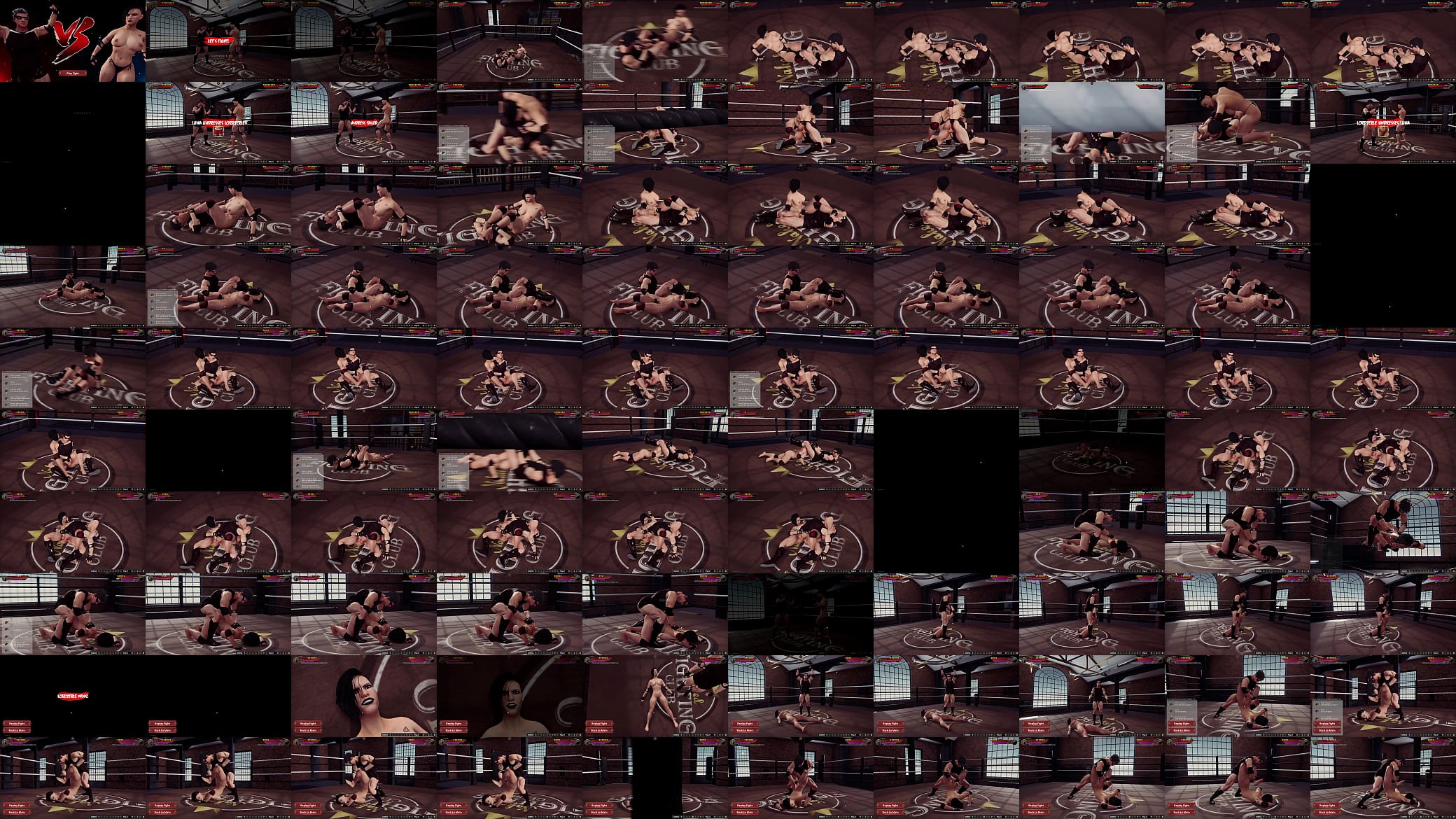 LordJerle VS Luna (Naked Fighter 3D) 预览图