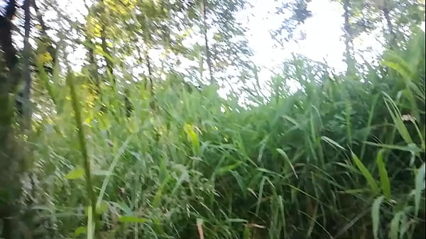 Download Video - in the nature