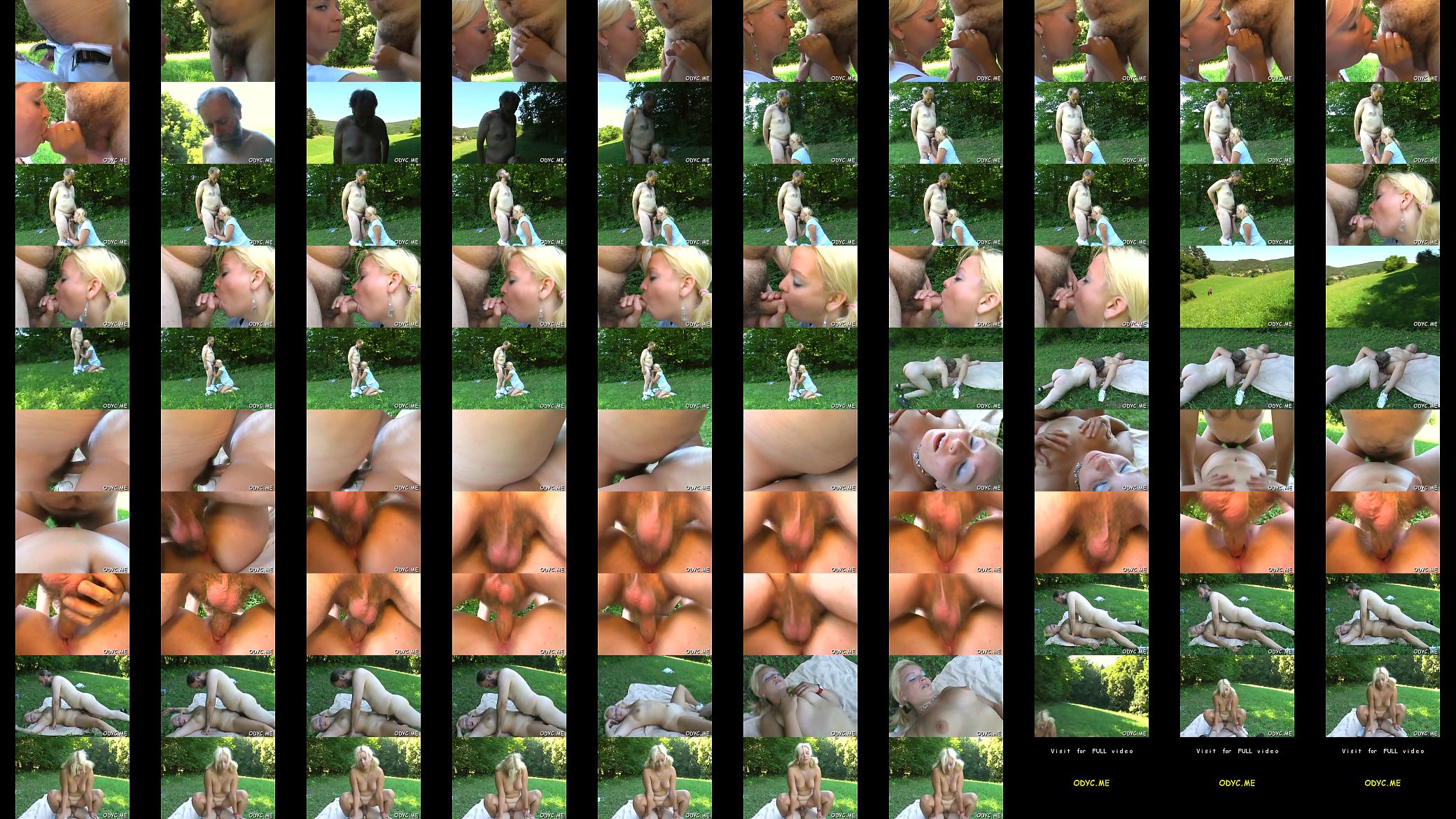 Miniature titted wench banged hard 预览图