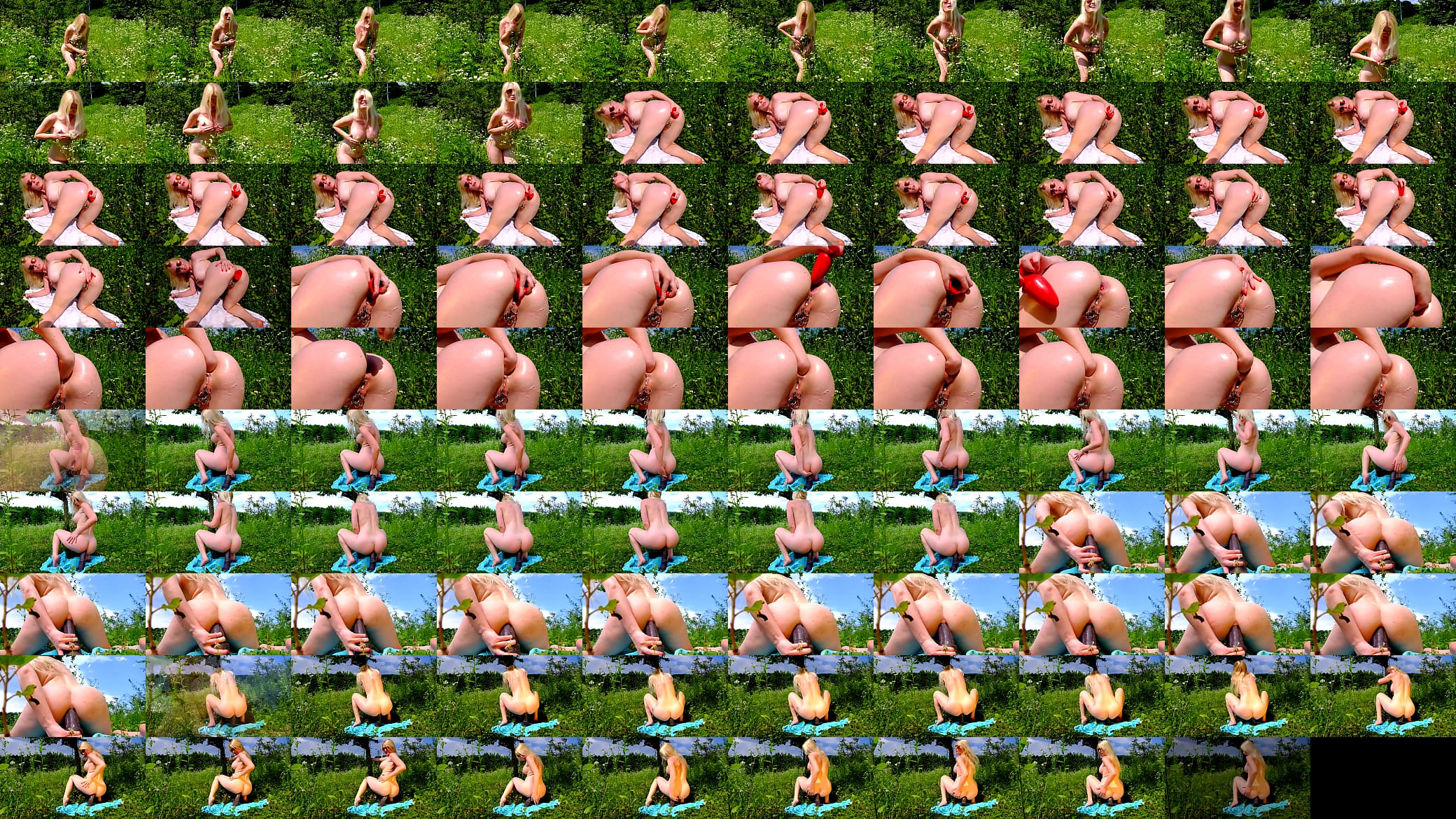 Pierced blonde destroys her ass 预览图