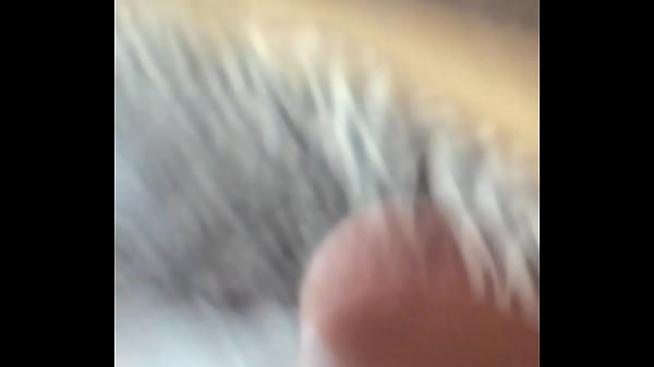 V 20151018 102241