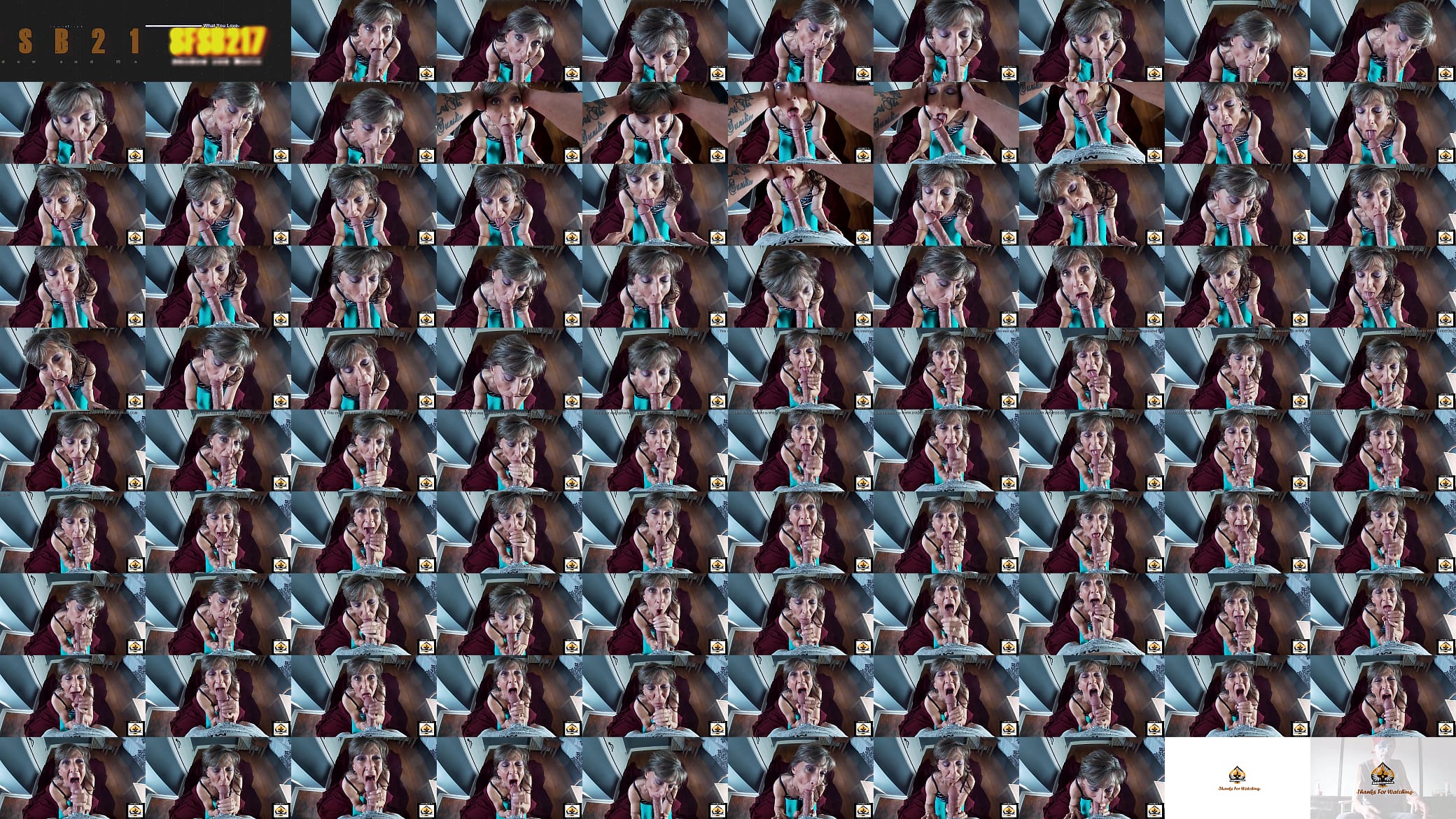 Sexy Milf Marie Multiple Cumshots In Her Mouth 预览图