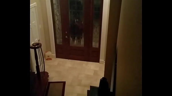 Pizza Guy Returns