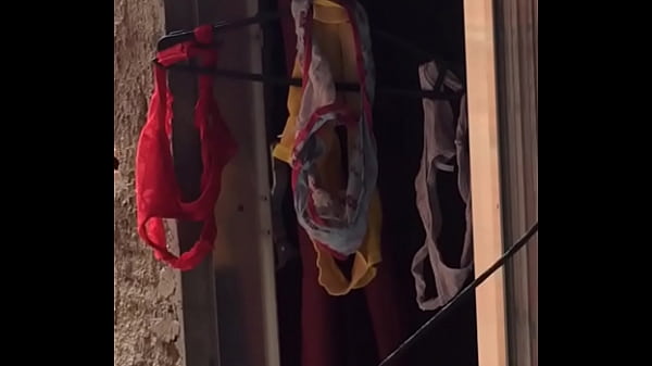 neighbor's panties