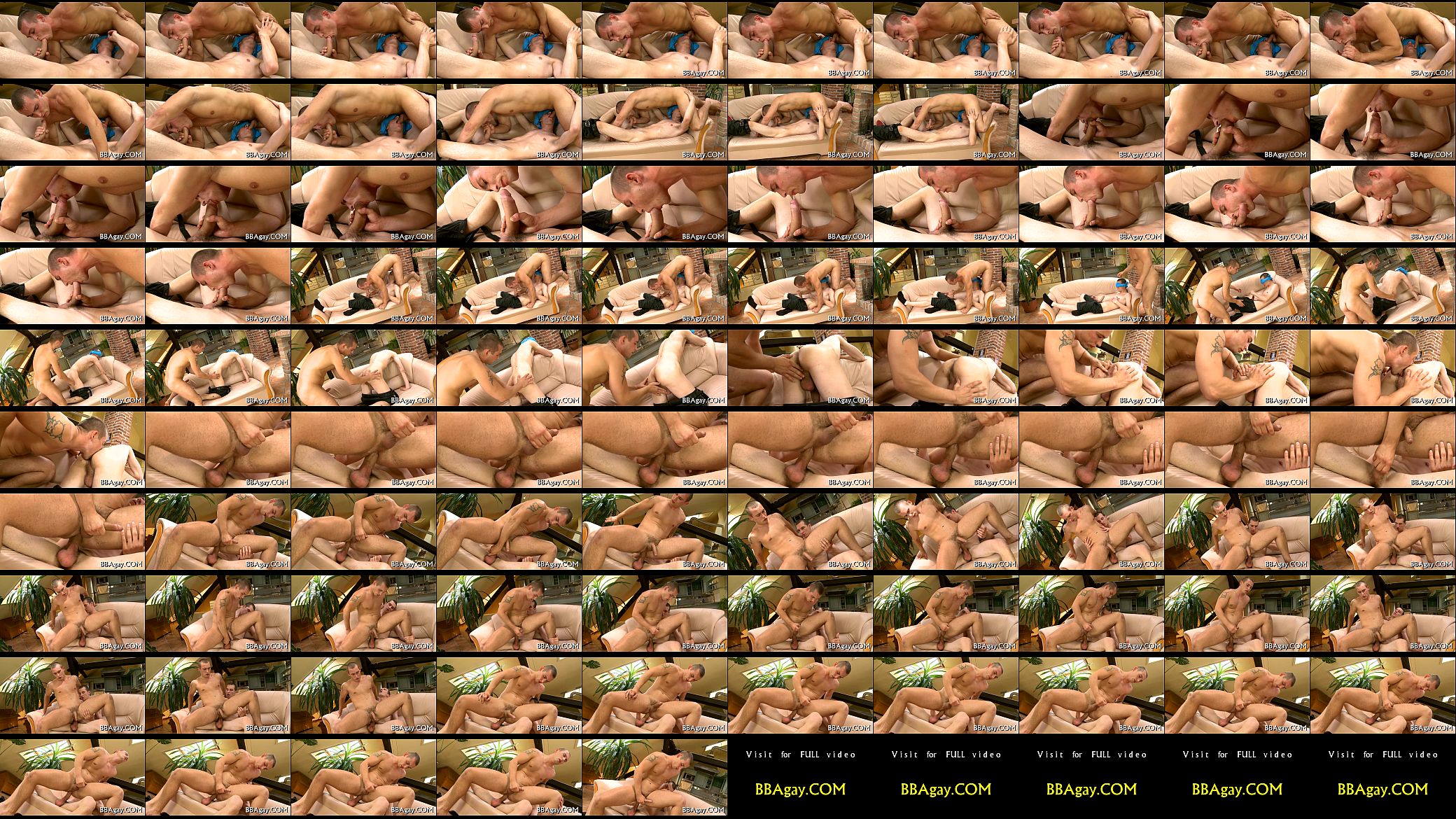 Messy doggy position with homos 预览图