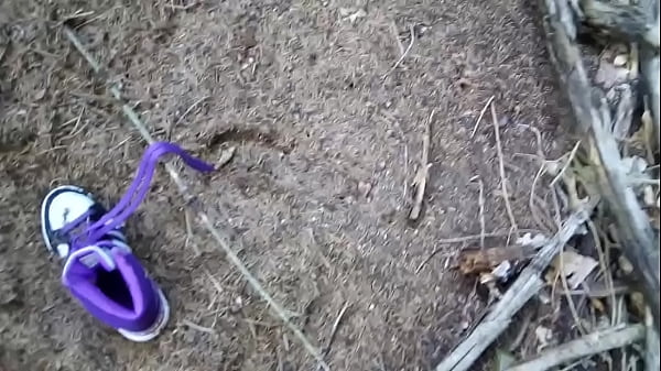 Adidas Contre Les Fourmis Part.5 ( Après 4 Jours )