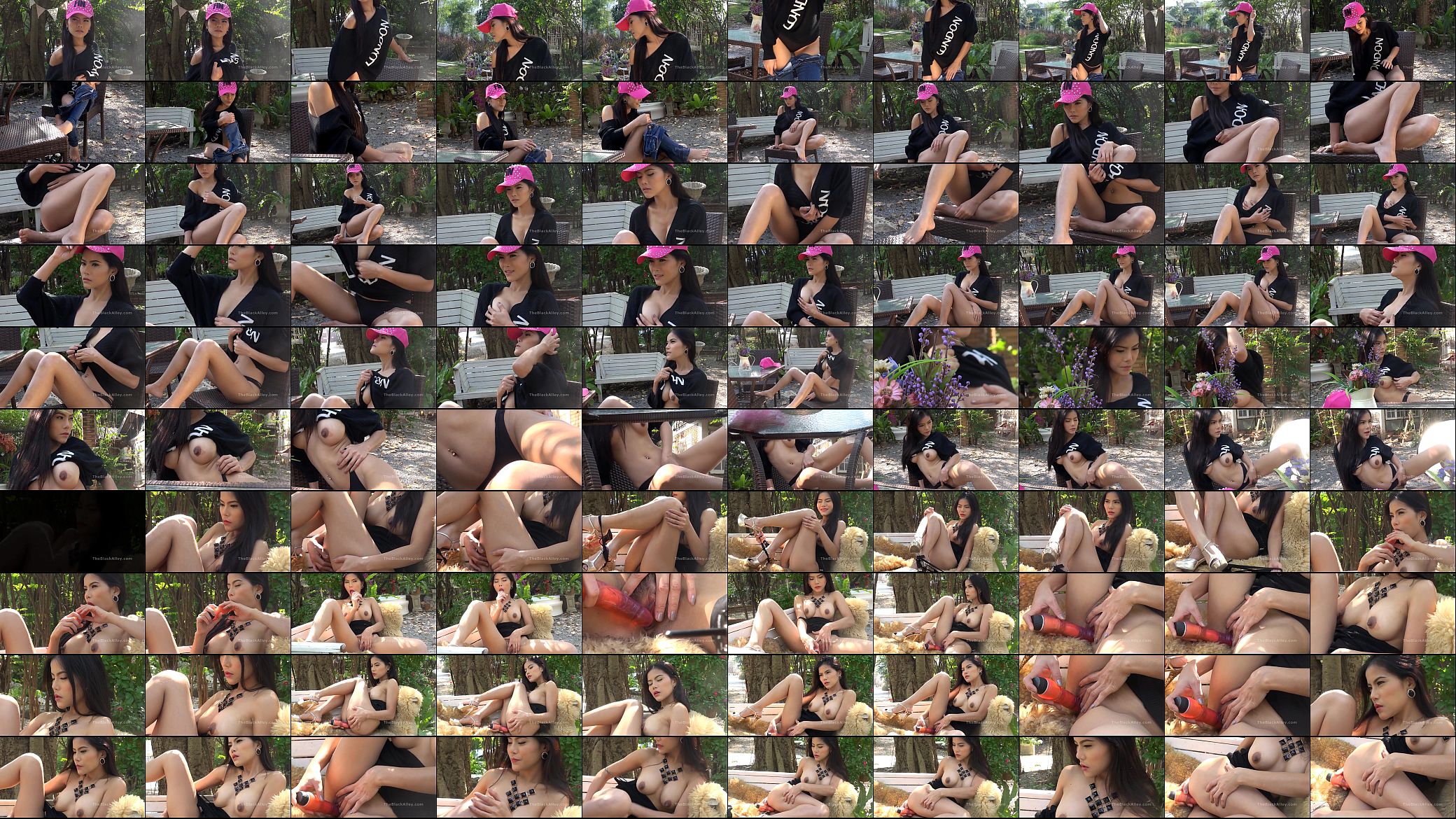 vf56f24ee556a8f 预览图