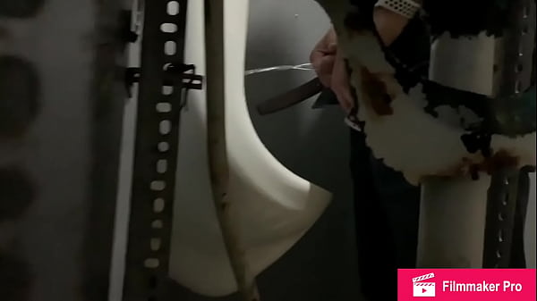 Puerto Rico Spycam bichos ricos