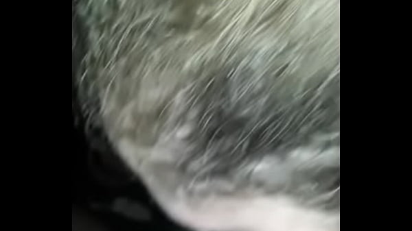 Head