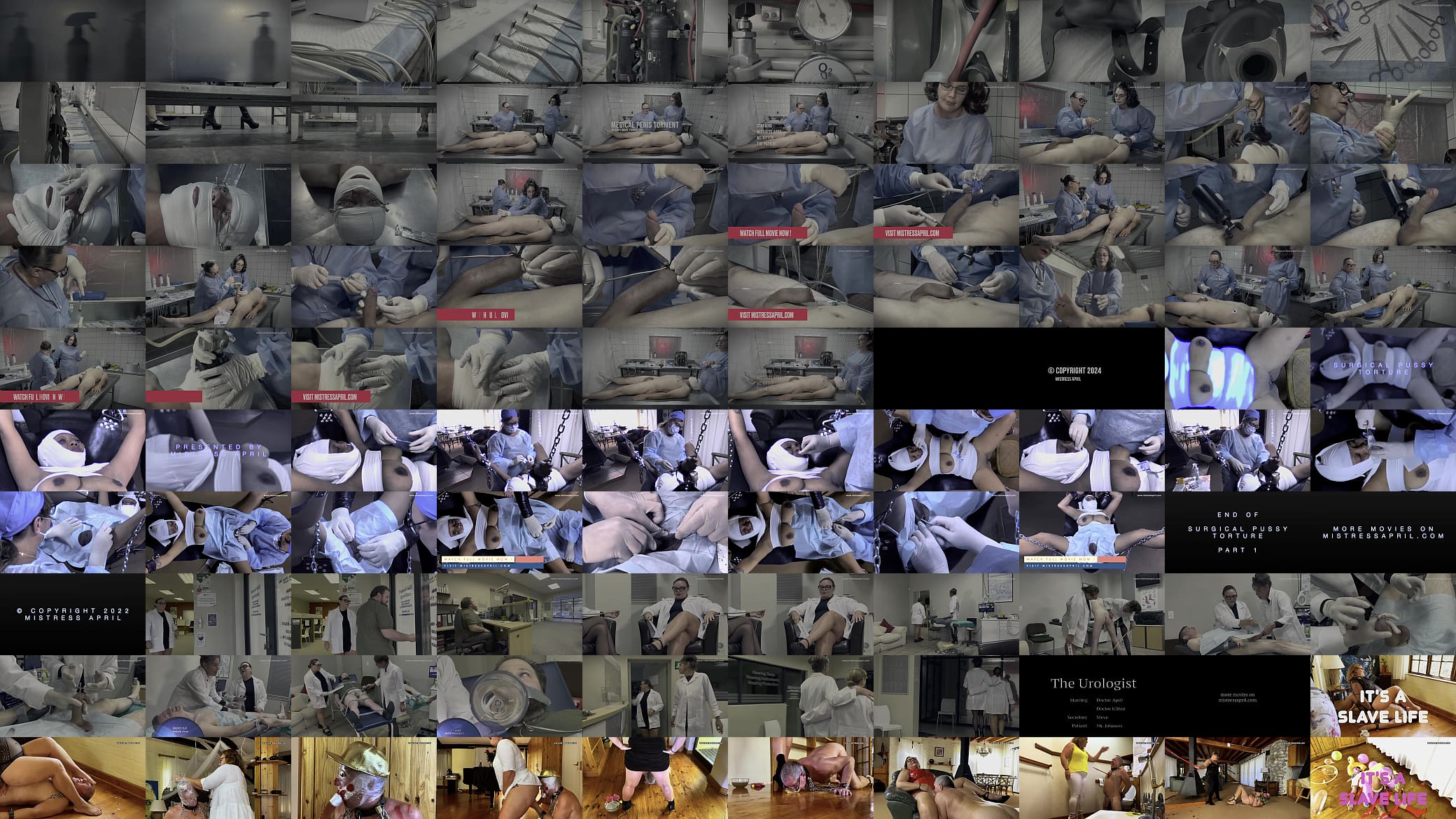 Dominatrix Mistress April - Medical Penis Tornment 预览图