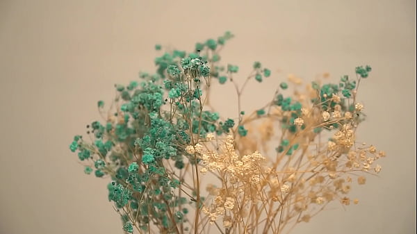 She sat and wrote down all her thoughts in a diary!