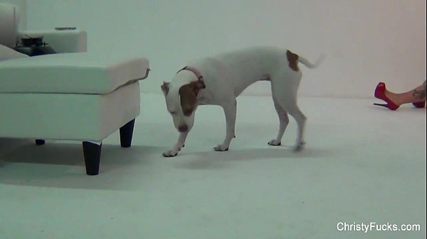 Download Video - Christy Mack On the porn set