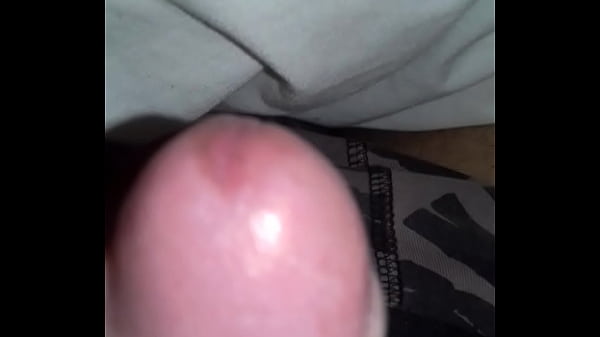 Sexo csaero