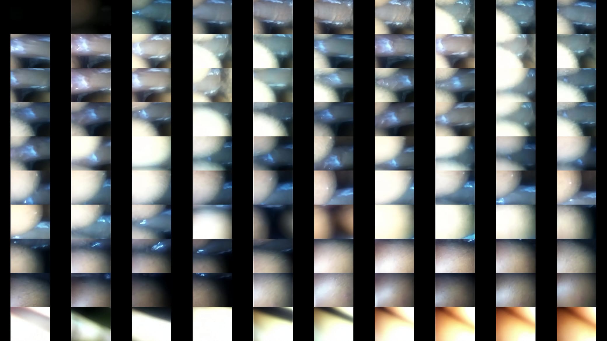 trim.0NEgO6.MOV 预览图