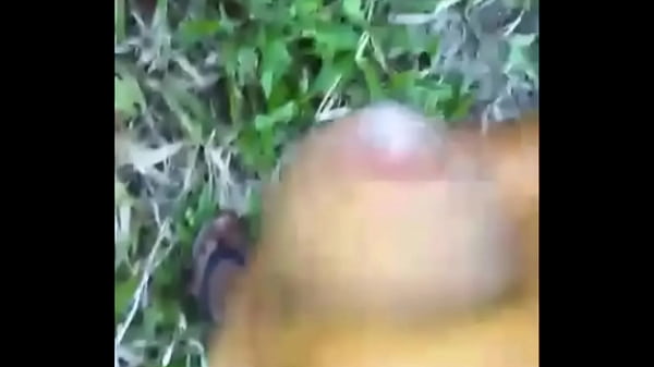 Download Video - Homem do interior bateu punheta no mato