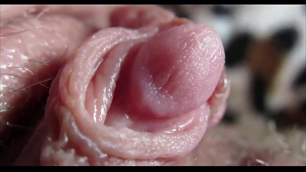 Mrs Cool Pussy Official - Big clit orgasm closeup HD