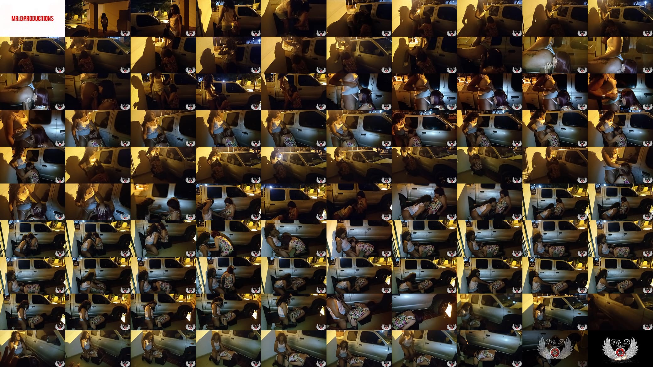 Risky shemale exhibitionism: Two Ladyboy having sex outdoors on the public street 预览图
