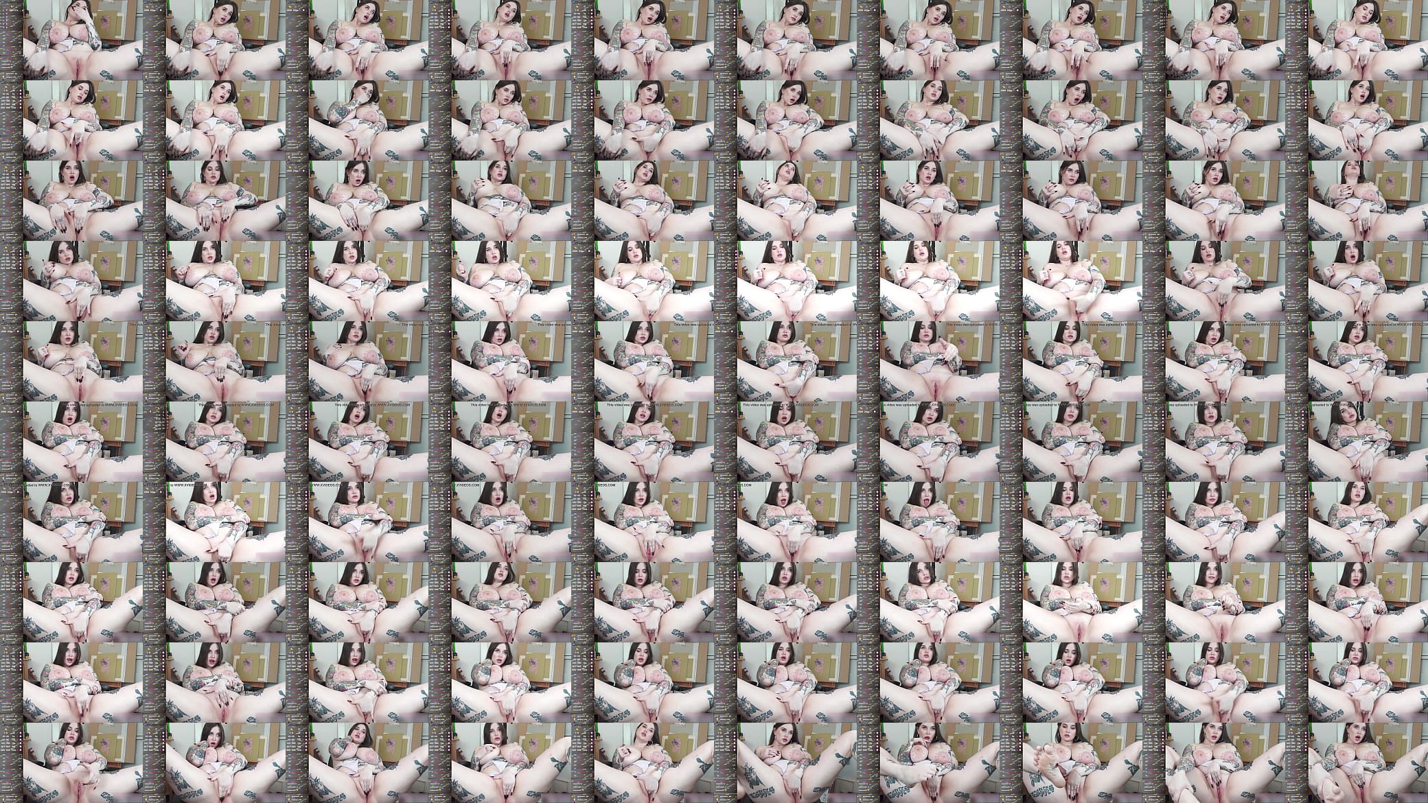 PUSSY PLAYING STREAMER 预览图