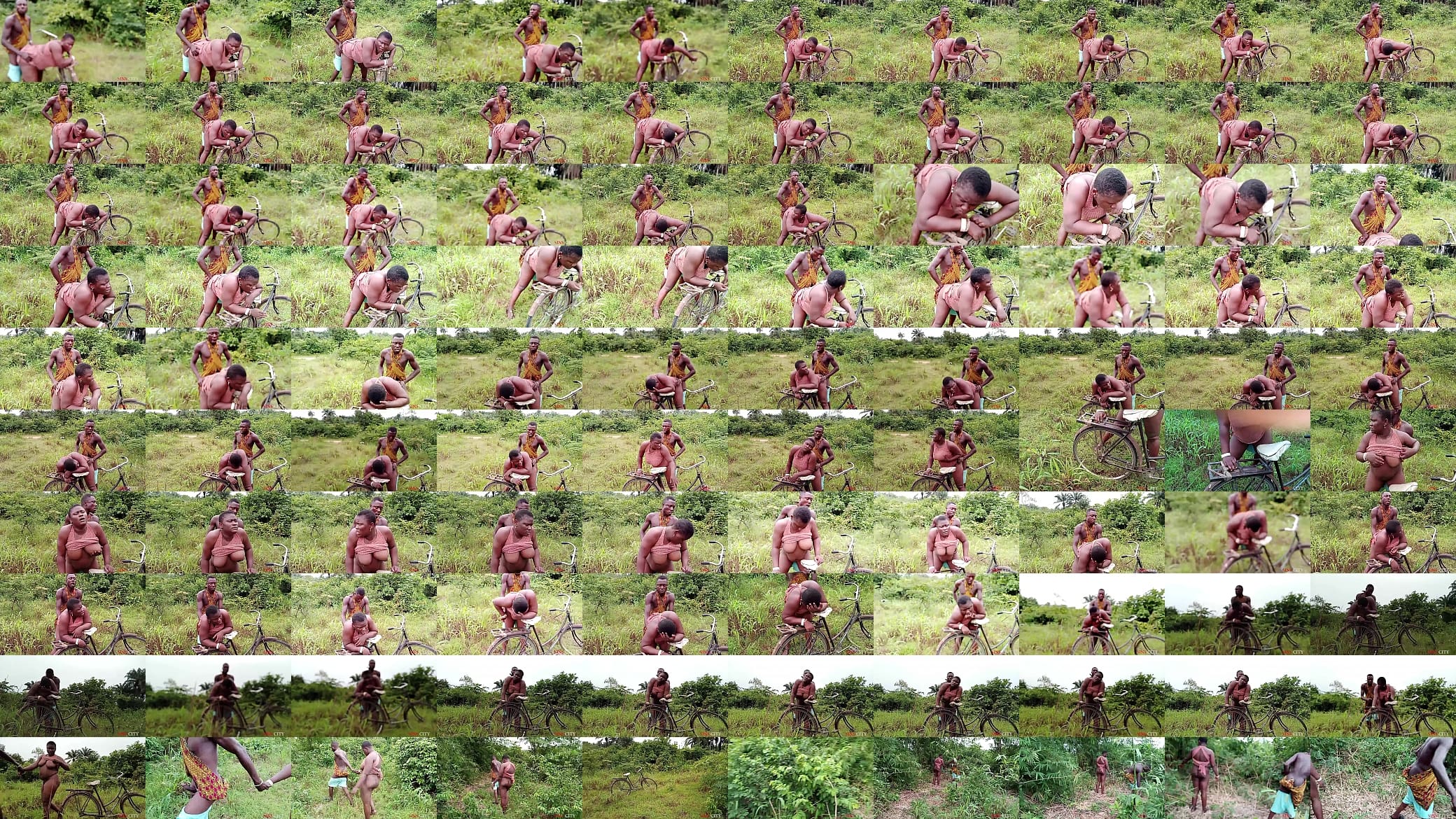 SEX WITH THE KING'S WIFE IN THE BUSH 预览图