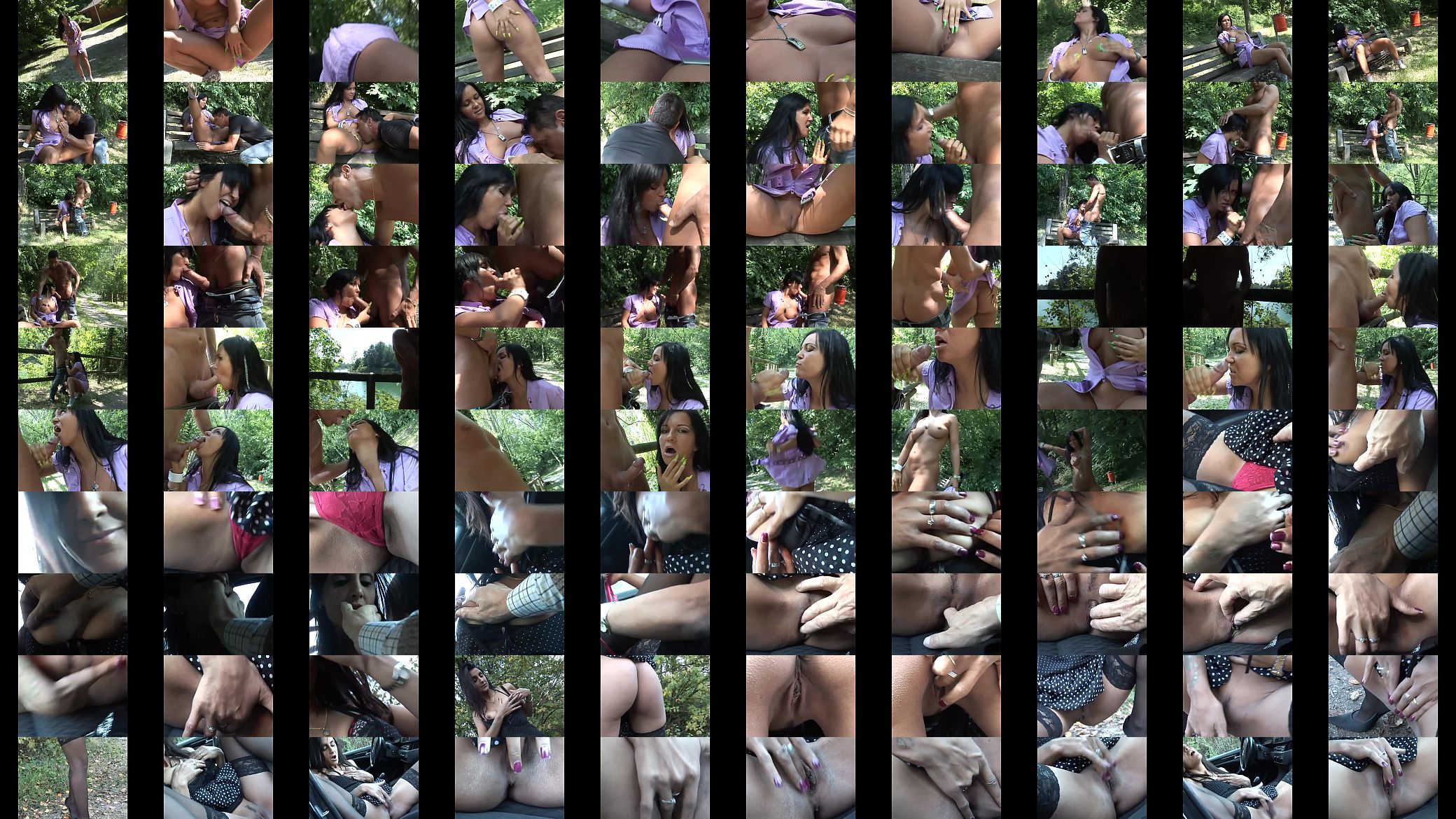 The taste of the outdoor fuck Vol. 12 预览图
