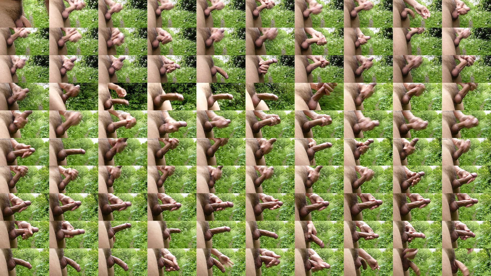 Jerking in fields02 预览图