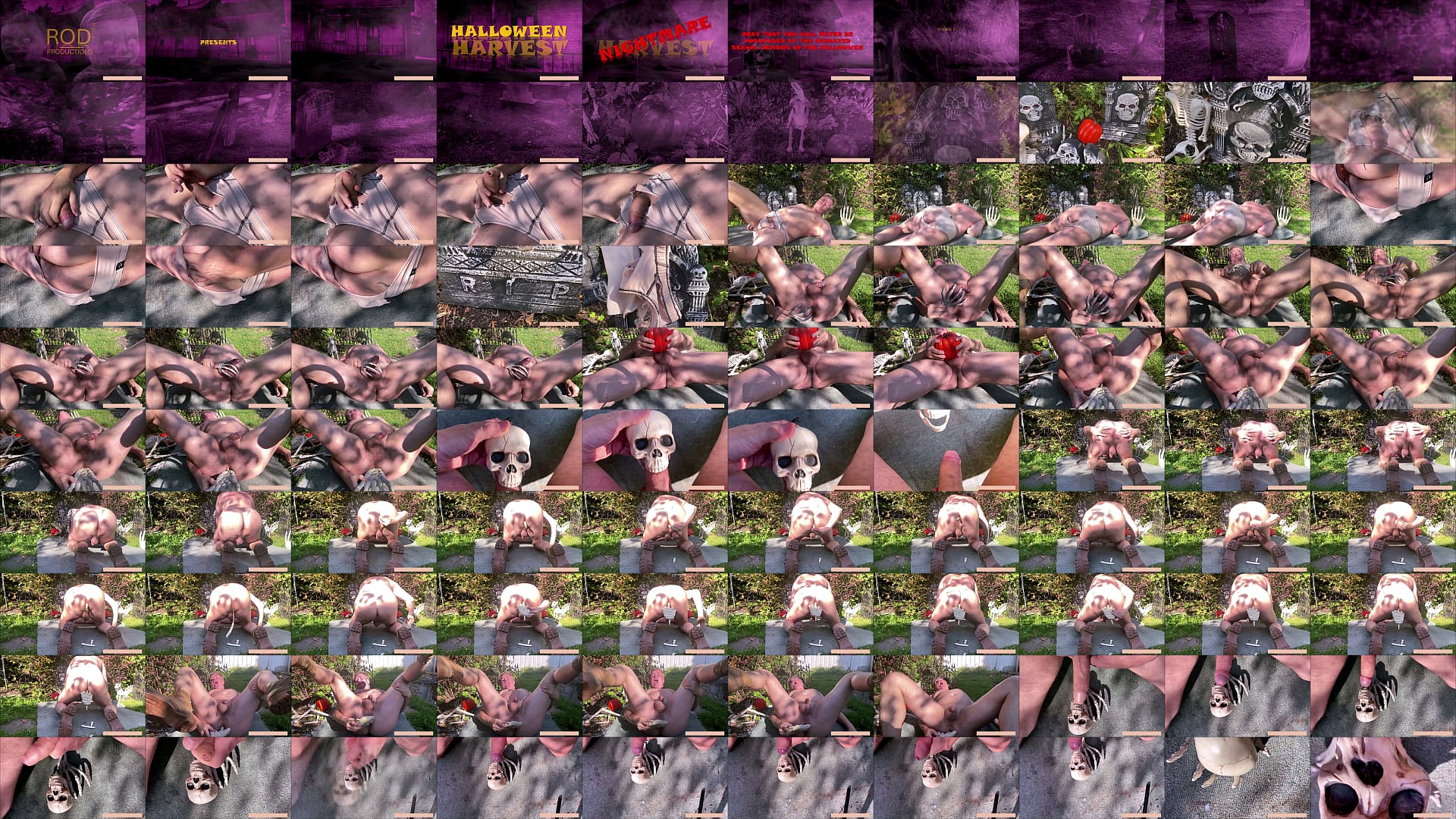 ANAL CEMETERY 1-2 10M SHEER 预览图