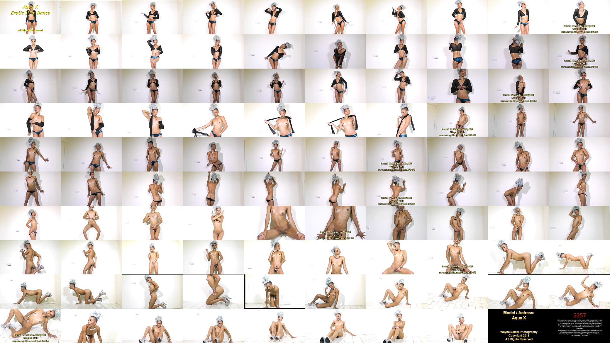 Aqua X&#039;s Exotic Strip Tease 预览图
