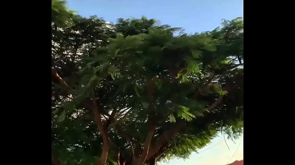 Branquinha fudendo negão