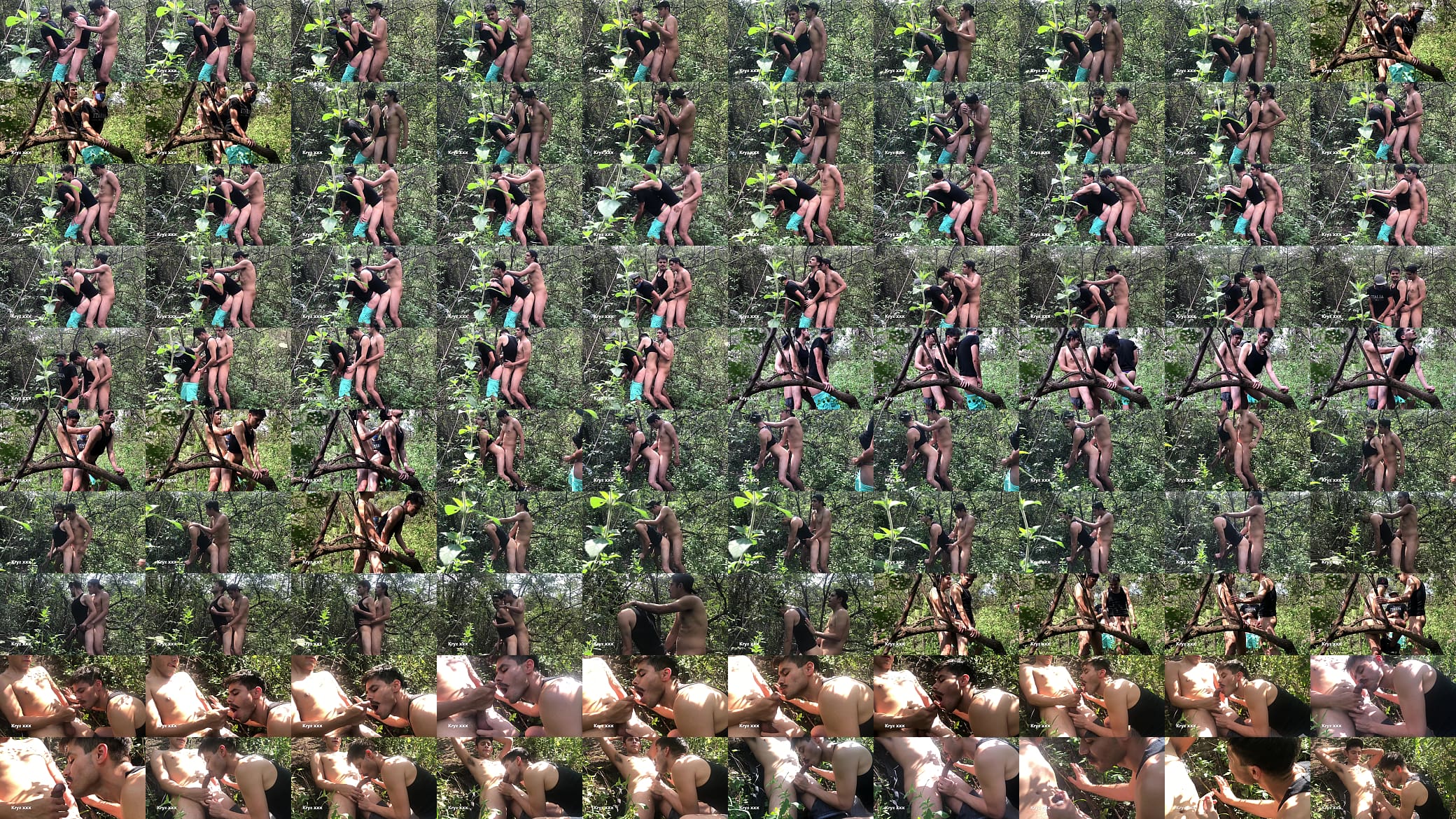 Wild sex in the woods. PART 5 预览图