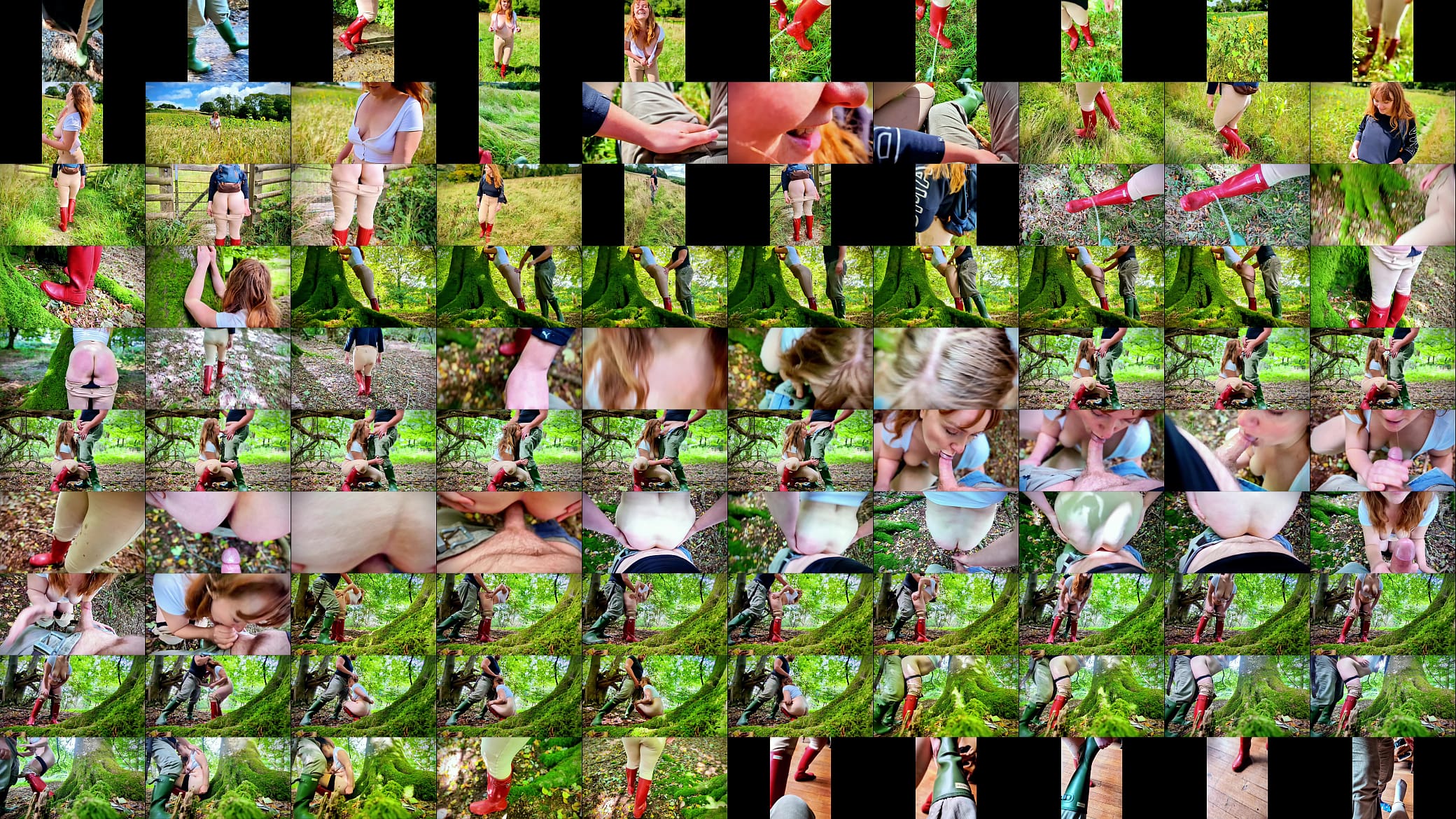 Analised and Spanked in the Forest 预览图