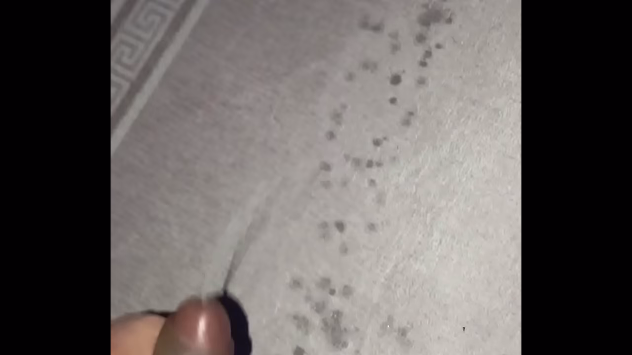 I'_m back it'_s been a while