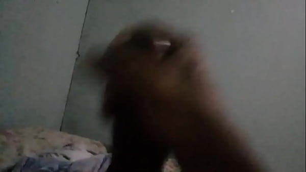 Tout Neuf Brésilien