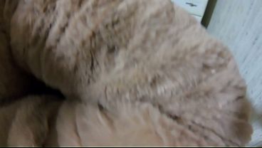 Naked in My Fur Coat, Deep Blowjob, Doggy Fuck and Cum on Satin Lining