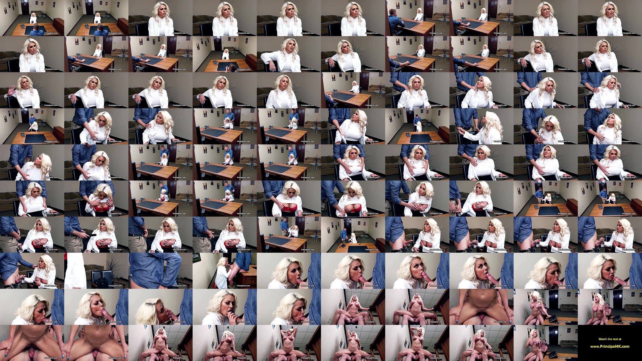 Mature chemistry teacher gets to ride dick at the principals office 预览图
