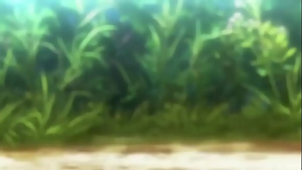 Hentai Releases October 2020