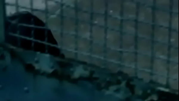 Le Ã, Sá, Ã † Šãƒ Ã, ¹Ãƒ