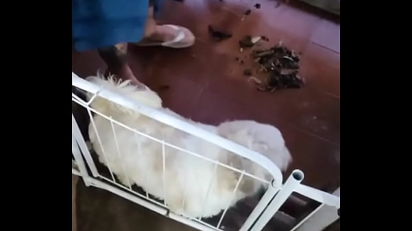 Acordei com a neura da limpeza limpando tudo e quando ele se aproximou de mim me deu um calor