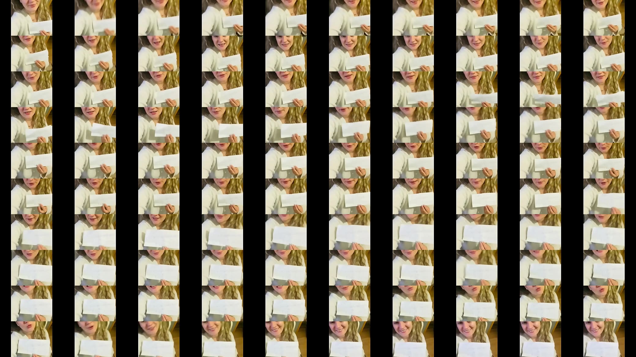 V&iacute;deo de verifica&ccedil;&atilde;o 预览图