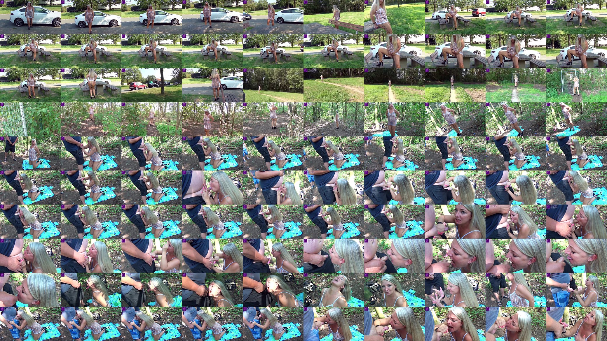 As a public blowjob - and sip bitch, for everyone, on a rest area! Part 1 预览图