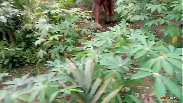 Two sharp guys fucked the King's maid while w.eeding the cassava farm