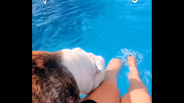 Happy Foot Fetish Friday! All you ??️ have some competition. My English loves to play footsies. #feet #footfe...