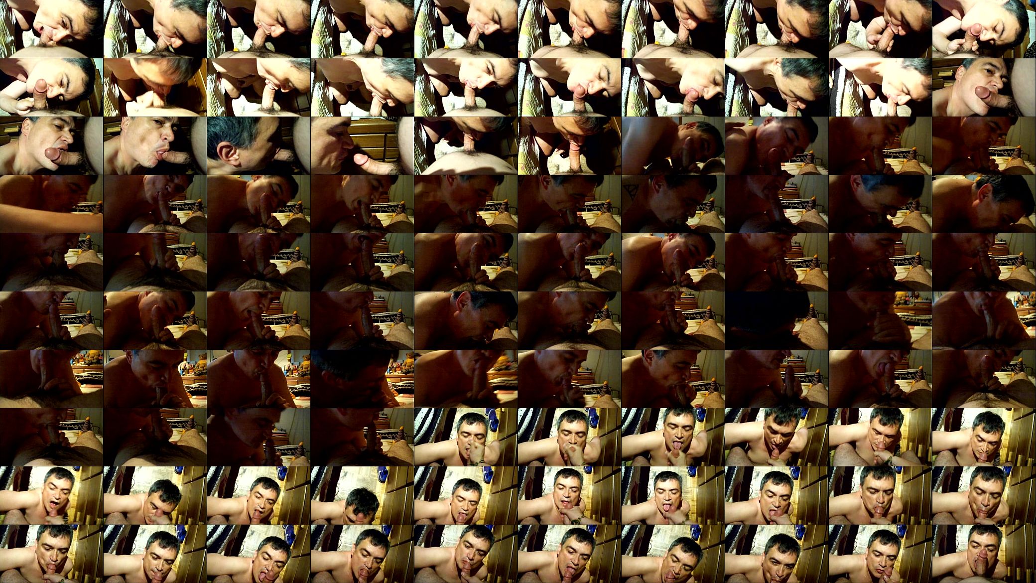 Gay blowjob with facial 预览图