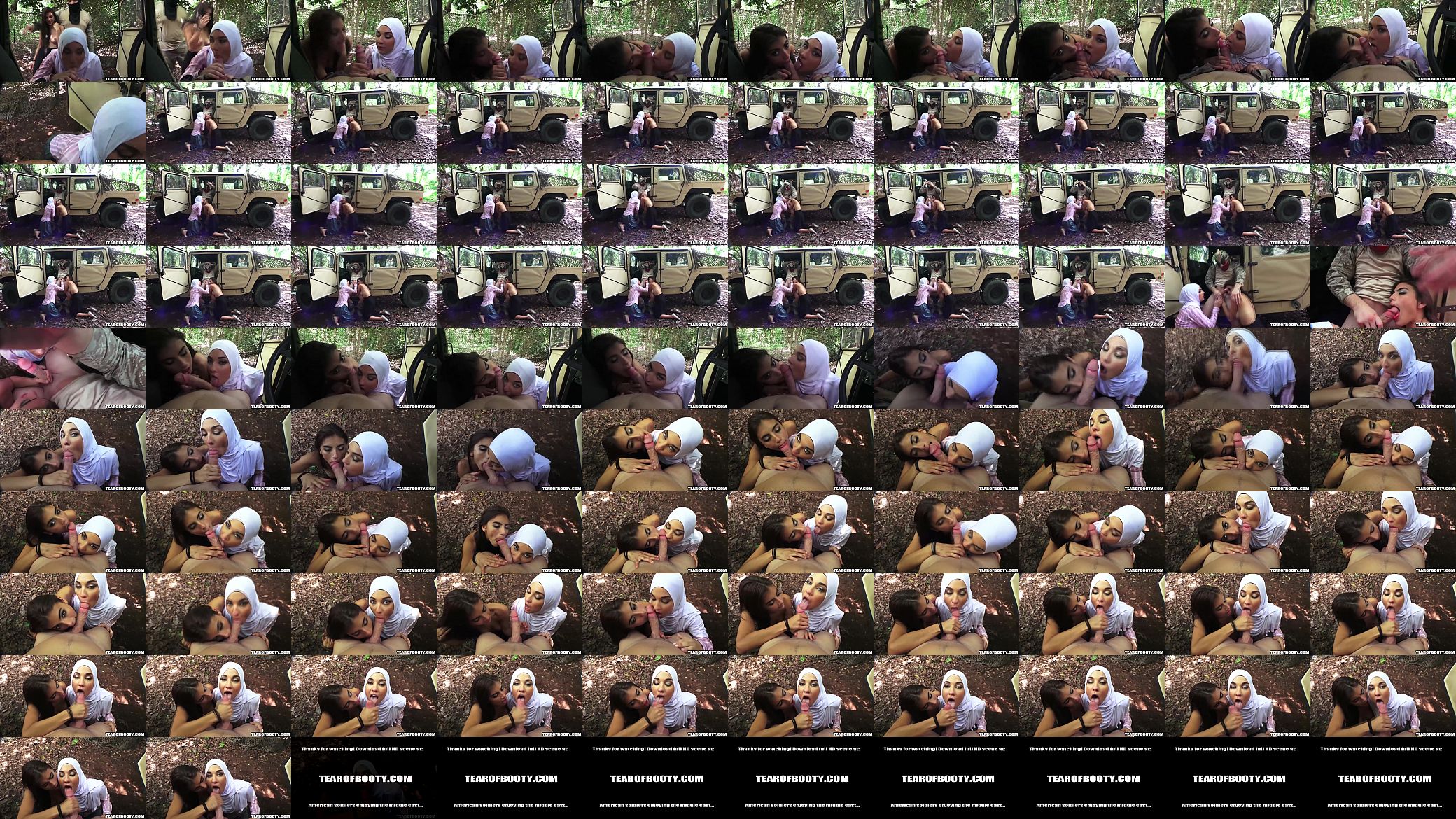 Professional cock sucking arab whores 预览图