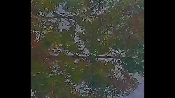 Viste mi primer video y ahora este