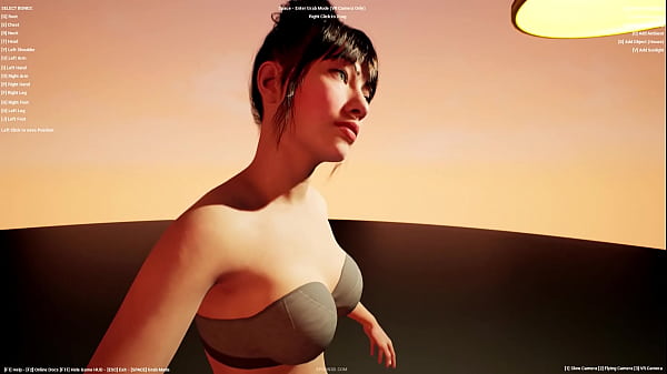 XPorn3D Creator Virtual Reality Porn 3D Rendering Software