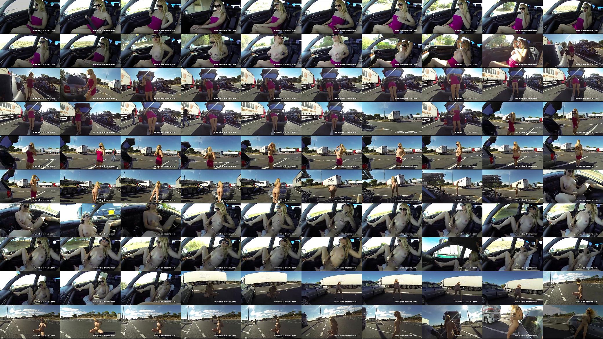 Public Nudity and Anal Sex Video 预览图