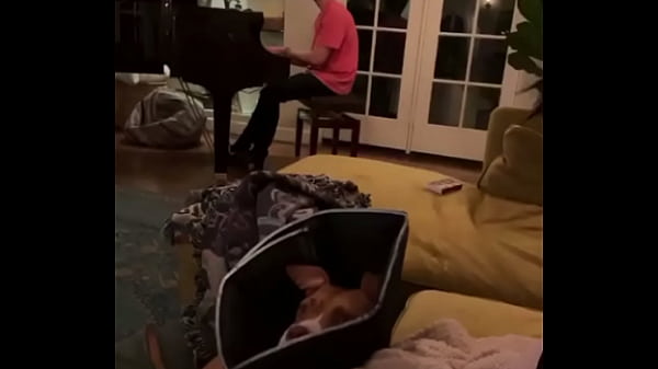 Billie Eilish Nalgue&aacute;ndose Las Tetas