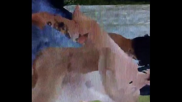 Sensualization on Imvu